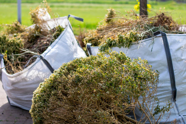 Best Professional Junk Removal  in Prieville, NC